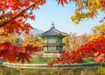 Prime Minister of Korea Takes Off to the U.S. and Switzerland to Boost UN Hub Ambitions!