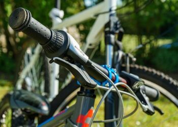 Building Bridges: A Parent’s Guide to Respectful Conversations with Adult Children