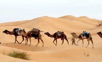 Abir Moussi: Opposition Leader in Tunisia Faces 12-Year Sentence in Stunning Court Decision