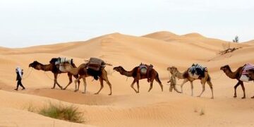 Abir Moussi: Opposition Leader in Tunisia Faces 12-Year Sentence in Stunning Court Decision