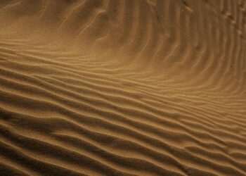 Exploring the Ripple Effects of the Iran War on Europe and Transatlantic Ties