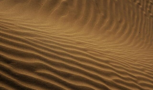 Exploring the Ripple Effects of the Iran War on Europe and Transatlantic Ties