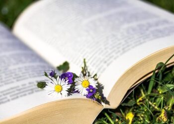 Discovering New Horizons: The Transformative Impact of Family Reading in Eswatini