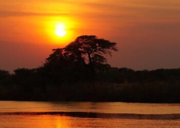 Shumba Unveils Groundbreaking ‘Clean Coal’ Power Projects in Botswana