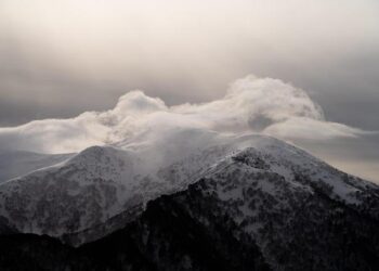 Commvault Launches Innovative Cloud Solutions in New Zealand to Enhance Data Sovereignty and Cyber Resilience