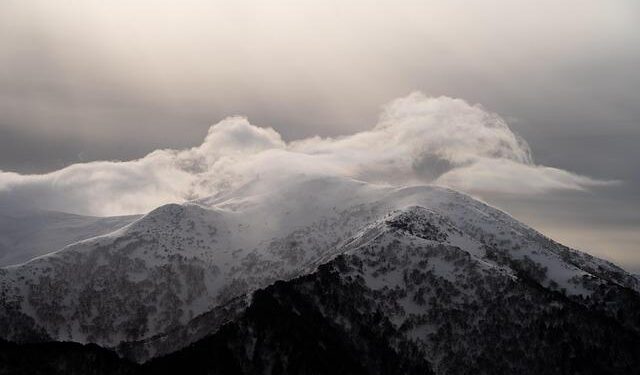 Commvault Launches Innovative Cloud Solutions in New Zealand to Enhance Data Sovereignty and Cyber Resilience