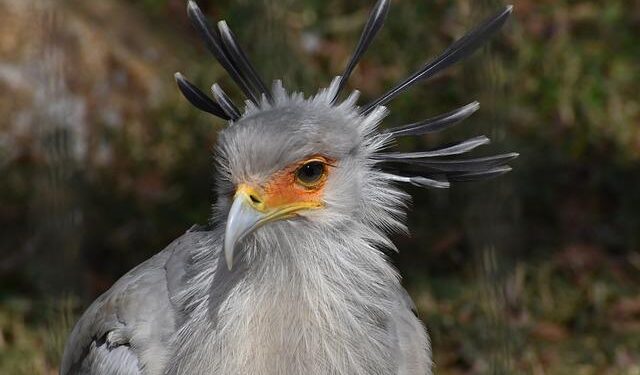 NATO Chief Embarks on Exciting Journey in Norway to Experience the Cold Response 26 Military Exercise in the High North