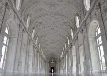 Monaco’s Royal Veto: The Ongoing Struggle for Abortion Rights