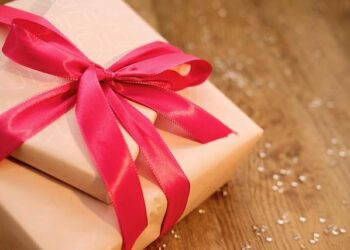 Unlocking Lasting Peace: The Case for Recognizing Somaliland