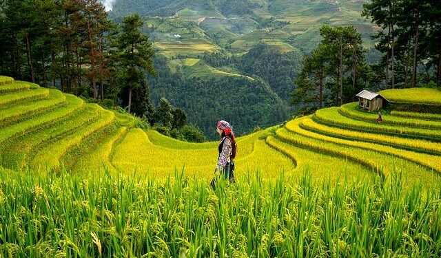 Rwanda’s Fearless Women Shine in Epic 14-Over Clash Against South Africa U19!