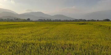 Forging New Frontiers: B2Gold CEO and Malian PM Collaborate on Fekola and Solar Growth