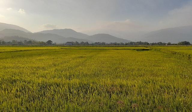 Forging New Frontiers: B2Gold CEO and Malian PM Collaborate on Fekola and Solar Growth