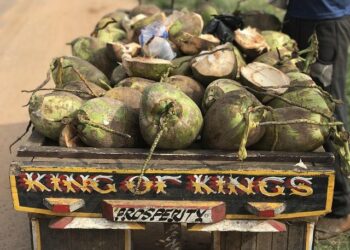 Ghana Honors Enslaved Ancestors in New York Ahead of UN Reparations Initiative