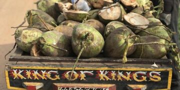 Ghana Honors Enslaved Ancestors in New York Ahead of UN Reparations Initiative