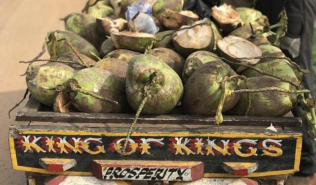 Ghana Honors Enslaved Ancestors in New York Ahead of UN Reparations Initiative