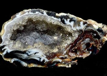 Empowering Futures: Kenya and Lithuania Join Forces to Ignite Women and Youth Entrepreneurship