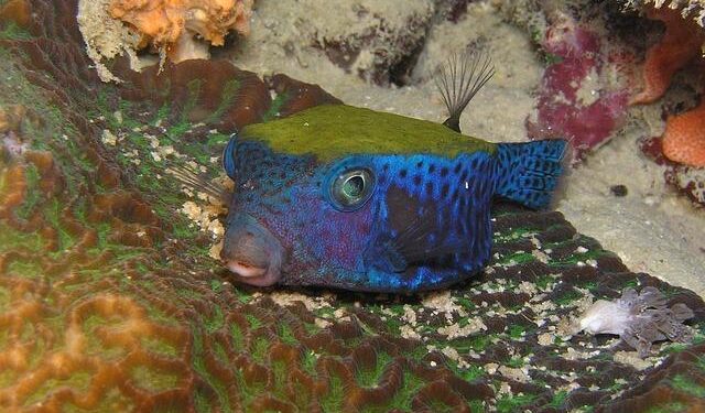 Unforgettable Travel Tips for Your Adventure in Eritrea