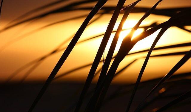 Mariano Ortega Shines Once More: Defending Champion of the Cape Verde Championship 2025!