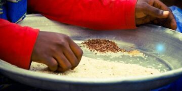 Heartbreaking Attack in Burkina Faso Takes the Lives of Ghanaian Tomato Traders