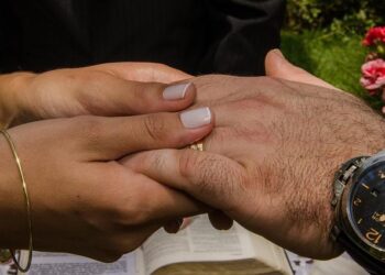 EU and Norway Unite for a Greener Future: Key Achievements and Next Steps