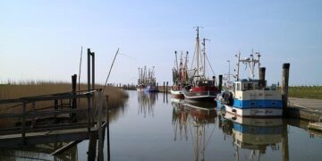 Coast Guard Cutter Harriet Lane Celebrates Heroic Homecoming After 81 Days at Sea!