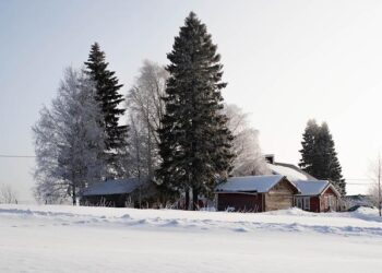 Finland’s Heartbreaking Exit from World Handball Championship Qualification After Narrow Defeat to Montenegro