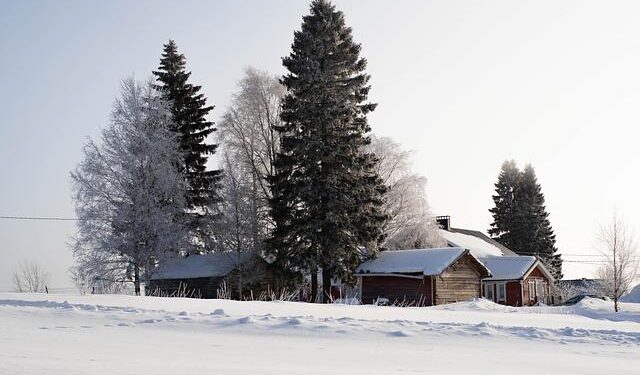 Finland’s Heartbreaking Exit from World Handball Championship Qualification After Narrow Defeat to Montenegro