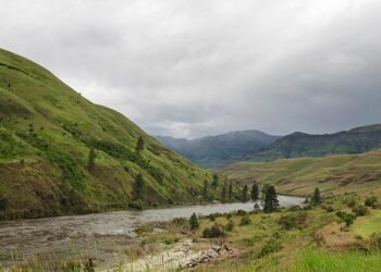 Bank of America Reaches Major Settlement in High-Profile Epstein Case