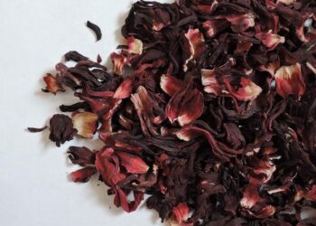 Heartbreaking Maritime Disaster: Two Sudanese Men Face Justice After 22 Lives Lost Near Crete