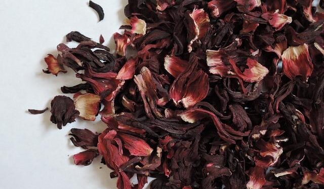 Heartbreaking Maritime Disaster: Two Sudanese Men Face Justice After 22 Lives Lost Near Crete