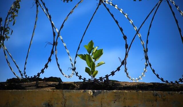 Building Resilience: Unlocking the Power of Nature in Burundi