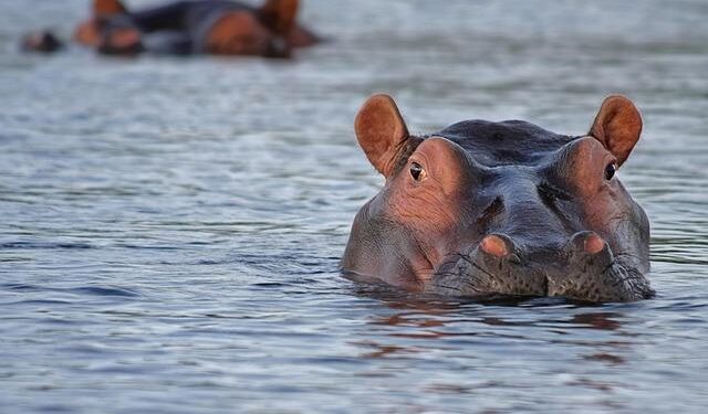 Exploring Botswana’s 2024 Investment Landscape: Unleashing New Opportunities