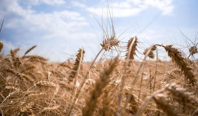 Ukraine’s Bold Move: 51 Ships Exposed in Russia’s War Efforts – A Demand for Justice!