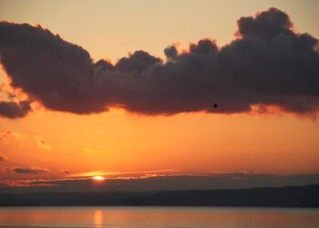 Spring Turkey Season 2026: Exciting Junior Hunt Begins April 11-12, Regular Season Launches April 18!