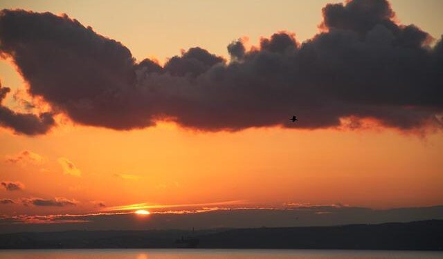 Spring Turkey Season 2026: Exciting Junior Hunt Begins April 11-12, Regular Season Launches April 18!