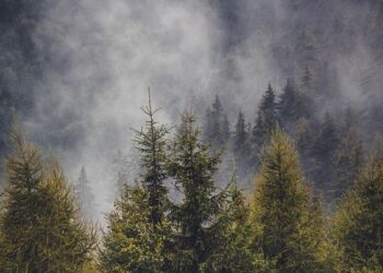 Discover Romania’s Best-Kept Secrets: Unforgettable Experiences Await!