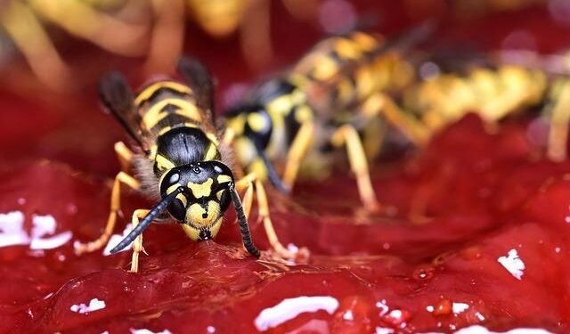 Forging Stronger Ties: German FM Celebrates Friendship with Poland in Turbulent Times