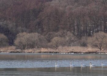 February Welcomes a 2% Surge in Foreign Visitors to Bulgaria!