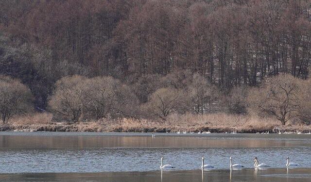 February Welcomes a 2% Surge in Foreign Visitors to Bulgaria!