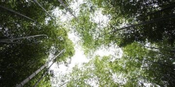 Catch Every Exciting Moment: Stream Cyprus vs Moldova Live!