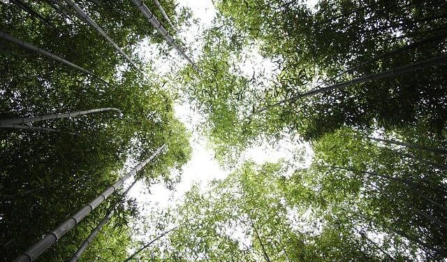 Catch Every Exciting Moment: Stream Cyprus vs Moldova Live!