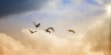 Experience the Thrill: Celebrate Freedom Day 2026 in Malta!