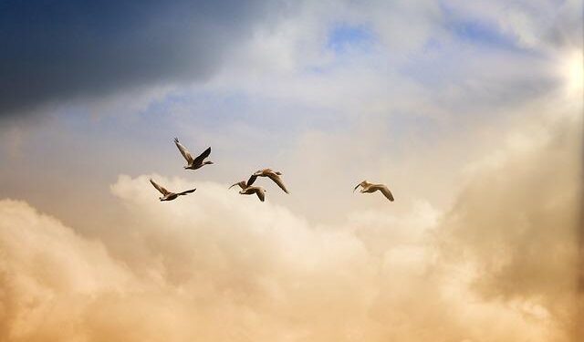 Experience the Thrill: Celebrate Freedom Day 2026 in Malta!