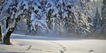 Enchanting Winter Wonderland: Breathtaking Snow-Covered Views of the Bay Area!