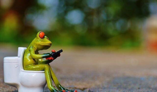 Game-Changing Alliance: WCS and Gabon Team Up to Revolutionize Protected Area Management!