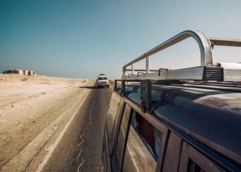 Egypt Stands Firm: Rejecting Russian Grain from Occupied Ukrainian Territories