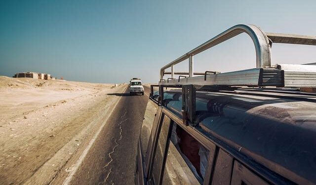 Egypt Stands Firm: Rejecting Russian Grain from Occupied Ukrainian Territories