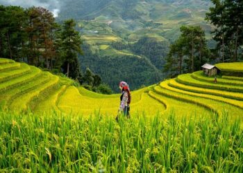 Empowering Women: Catalysts for Change in Papua New Guinea