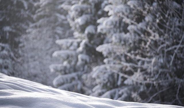 New Zealand and Cook Islands Unite in Defense Pact to Bolster Security Amid Rising China Deal Worries