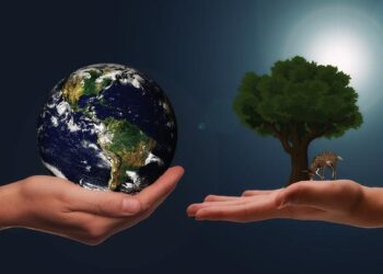 Guam’s Battle: The Devastating Impact of Federal Inaction on Habitat Conservation